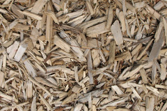 biomass boilers Arleston