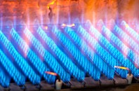 Arleston gas fired boilers